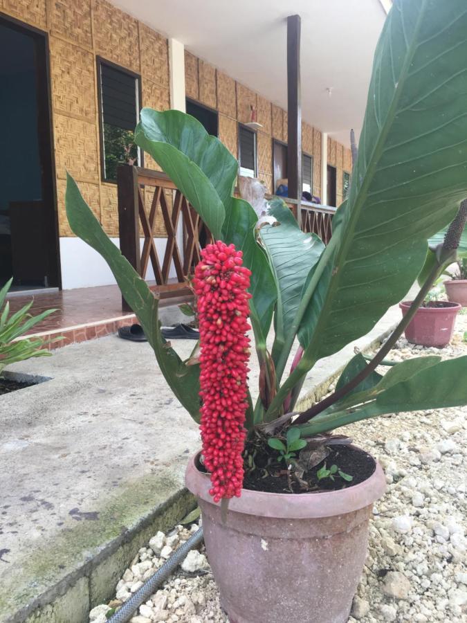 Panglao Rainbow Inn Tagbilaran Eksteriør billede